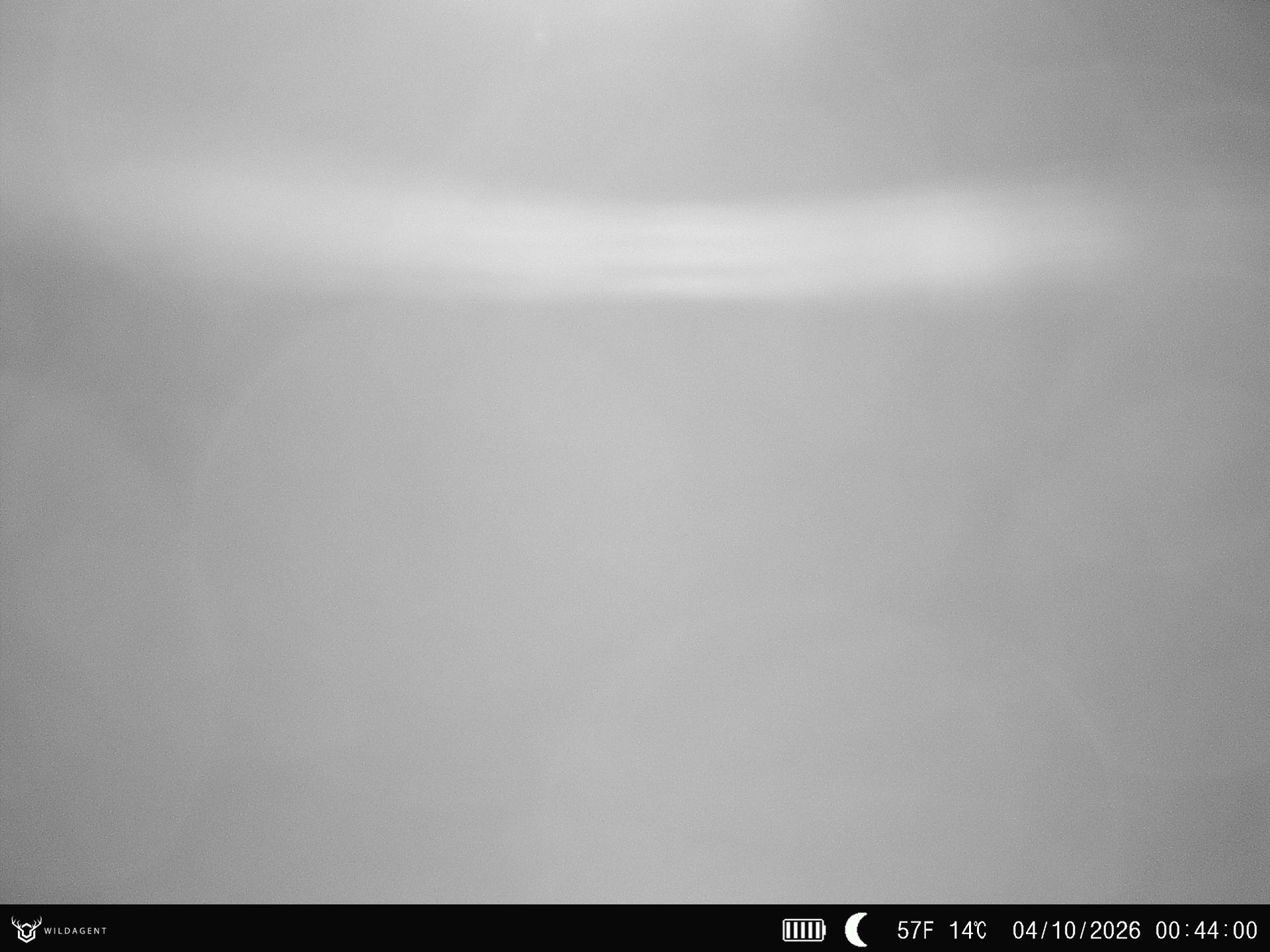 Wildtier 04.10.2026 00:44