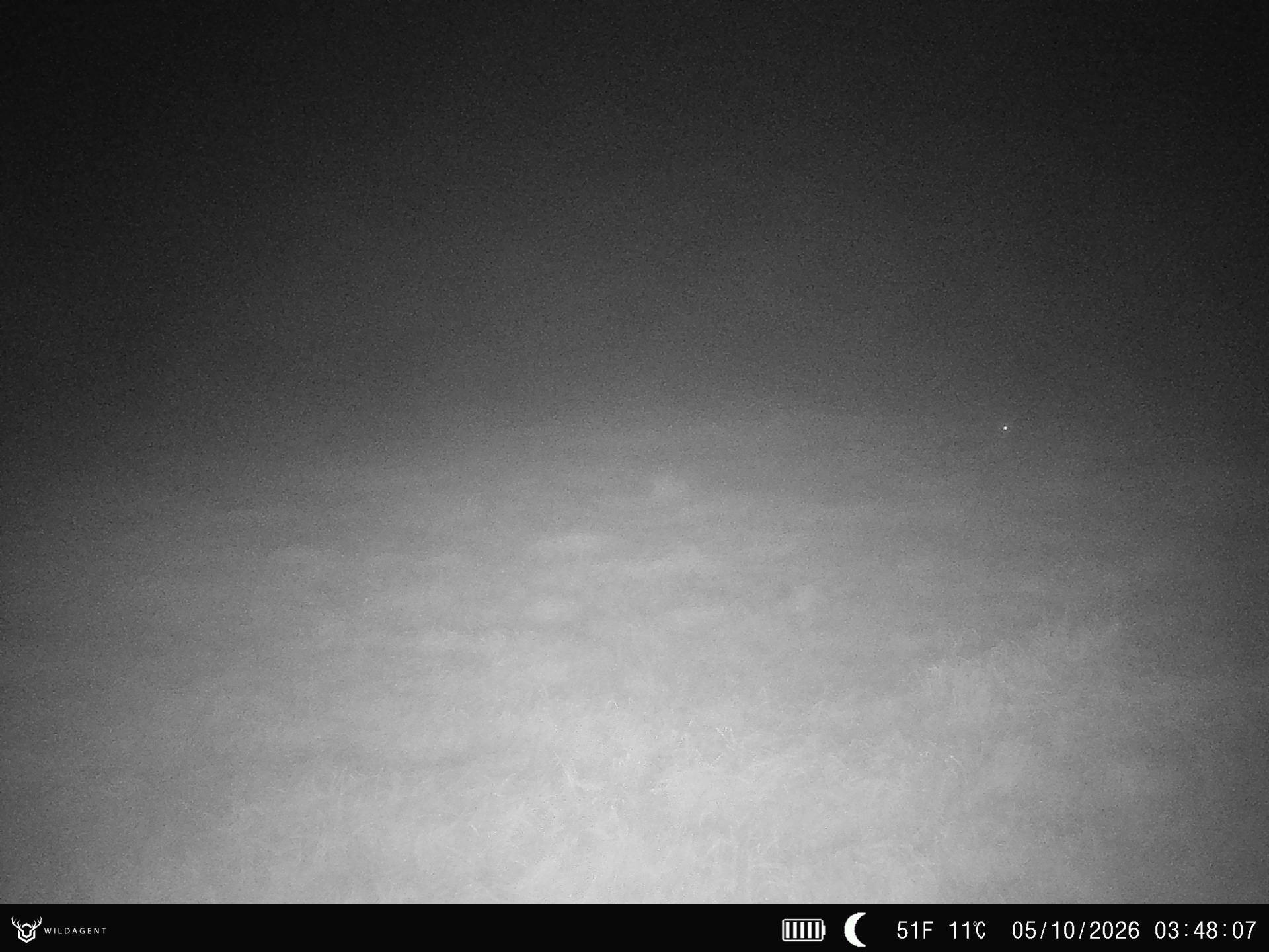 Wildtier 05.10.2026 03:48