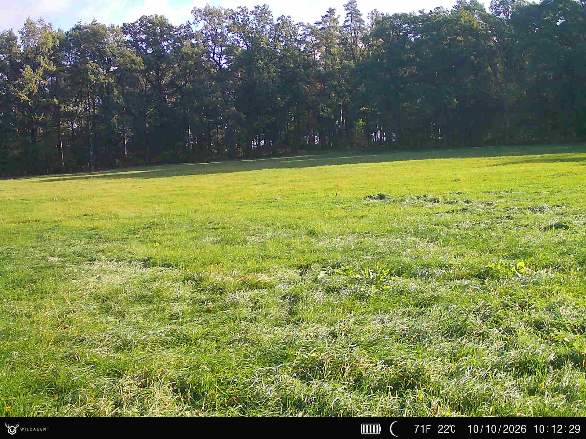 Wildtier 10.10.2026 10:12
