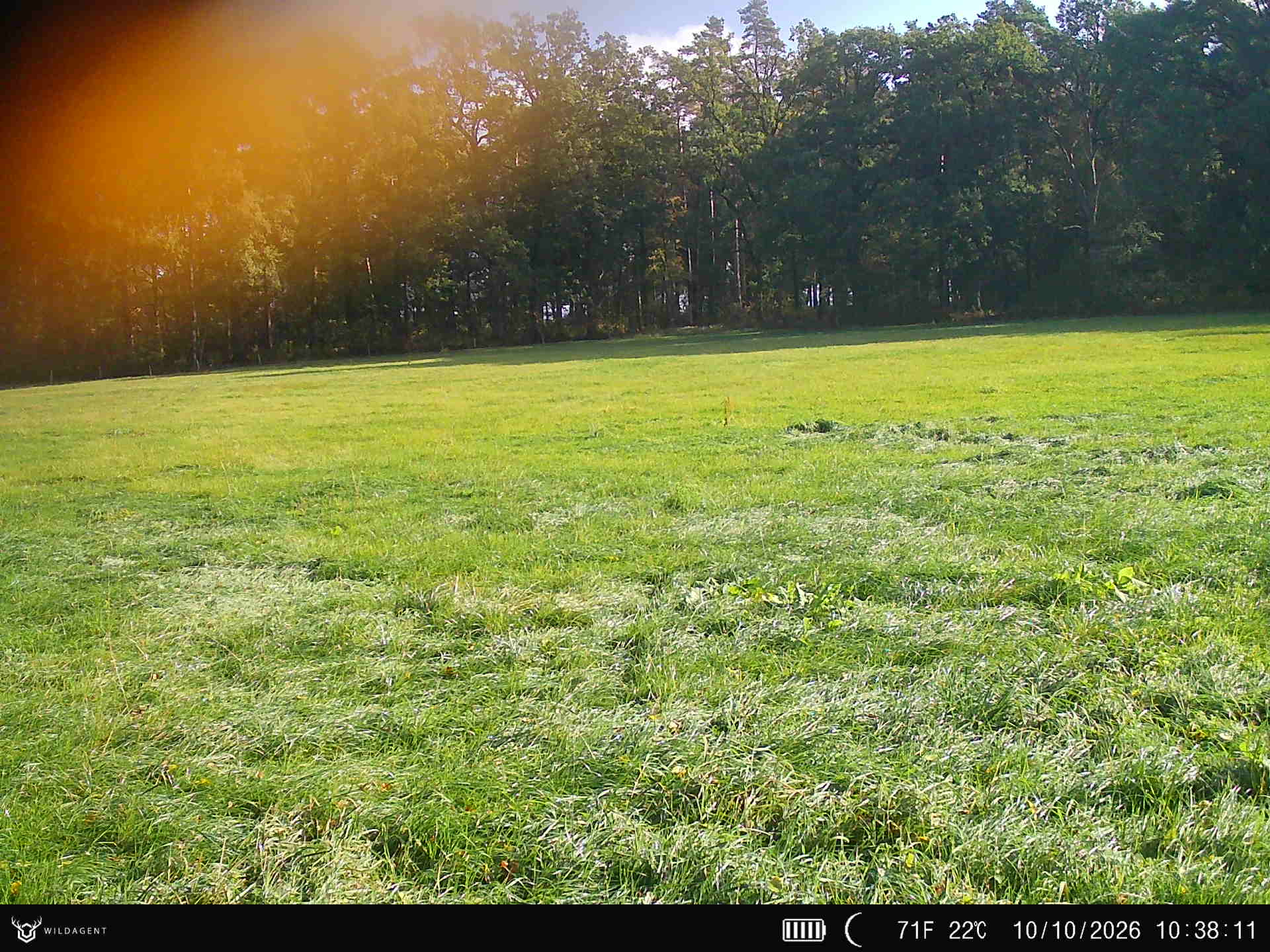 Wildtier 10.10.2026 10:38
